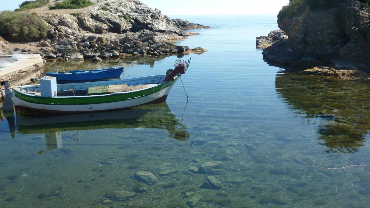 Les Pucines T2 Bas De Villa Six-Fours-les-Plages Bagian luar foto